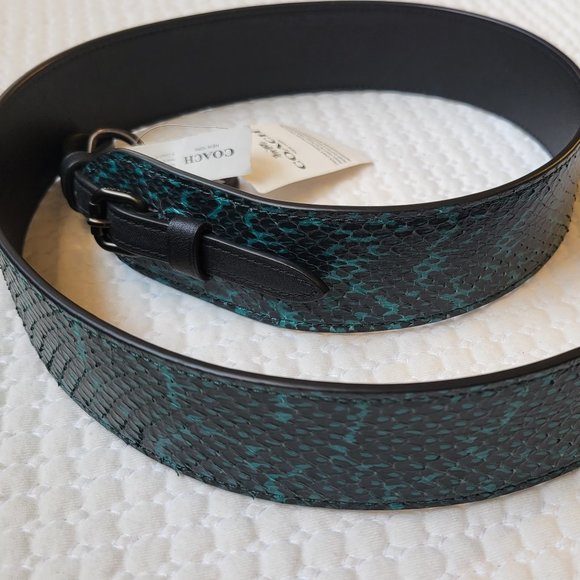 Coach Exotic Novelty Strap, Pine Green - Picture 14 of 16